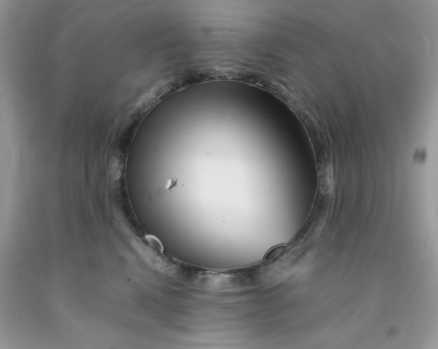 X0000091450472200709061738