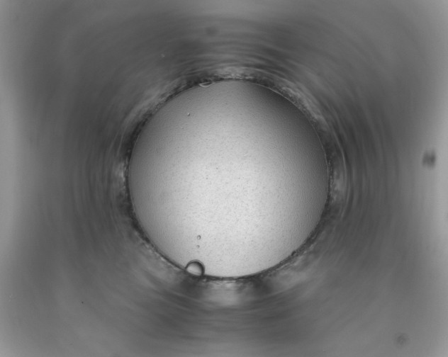 X0000091450473200709061738