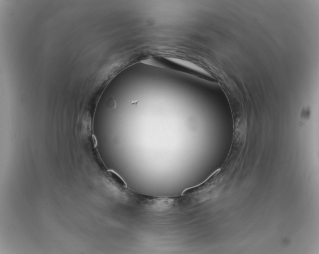 X0000091450474200709061738