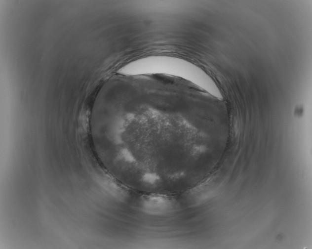 X0000091450475200709061738