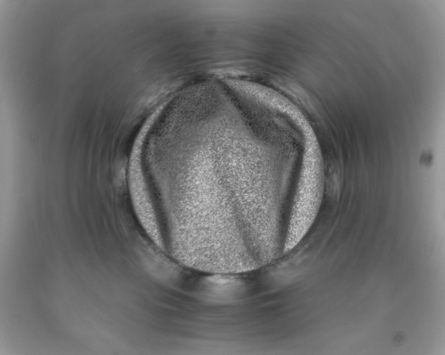 X0000091450477200709061739