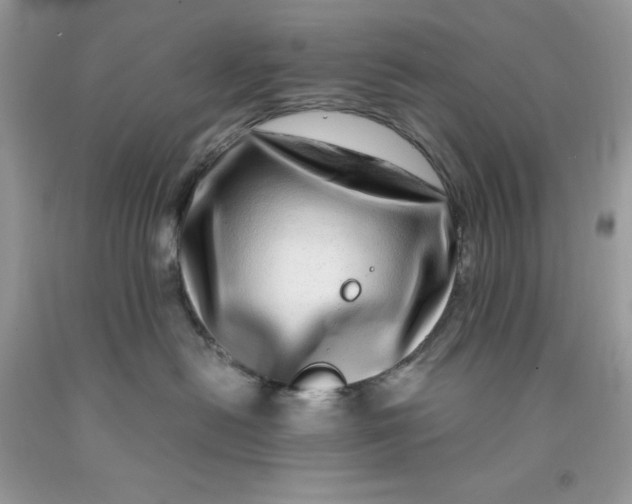 X0000091450478200709061739