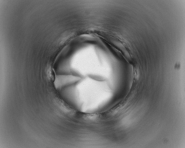 X0000091450479200709061739