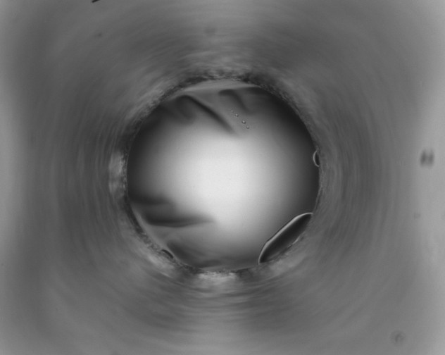 X0000091450480200709061739