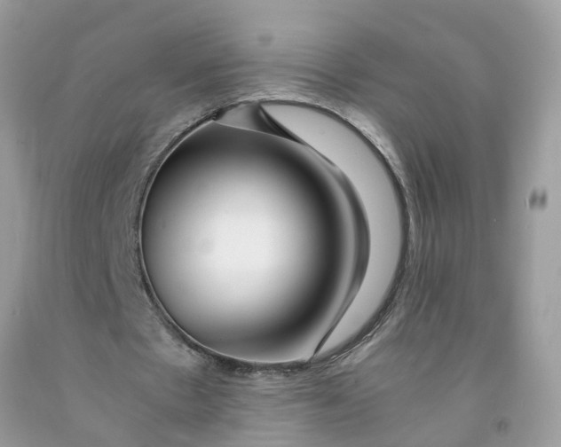 X0000091450481200709061738