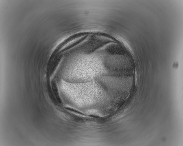 X0000091450483200709061738