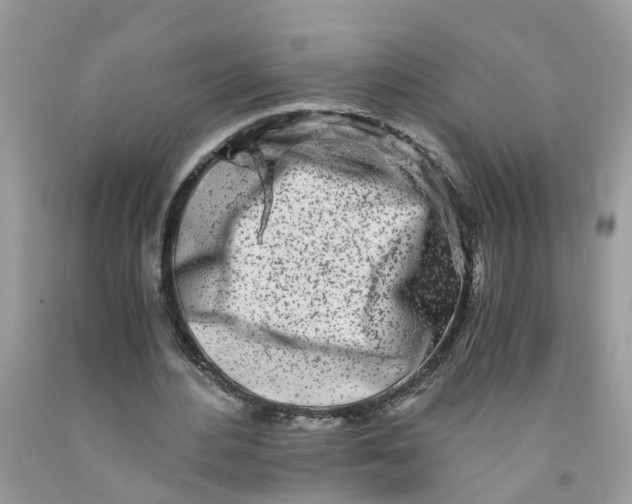 X0000091450484200709061738