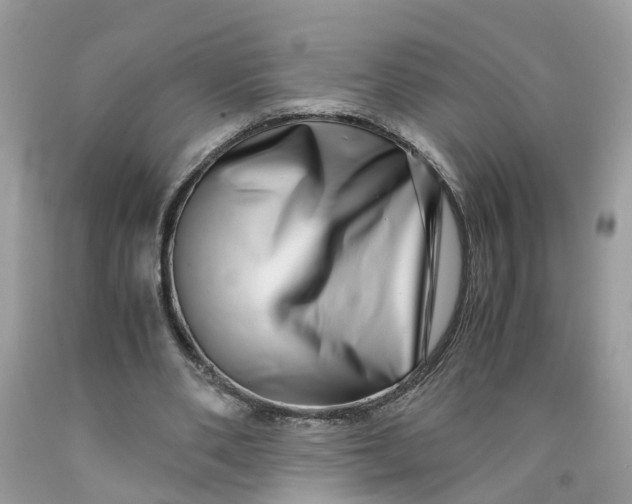 X0000091450486200709061738