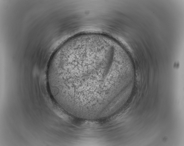 X0000091450487200709061738