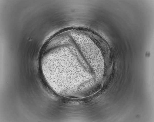 X0000091450488200709061738