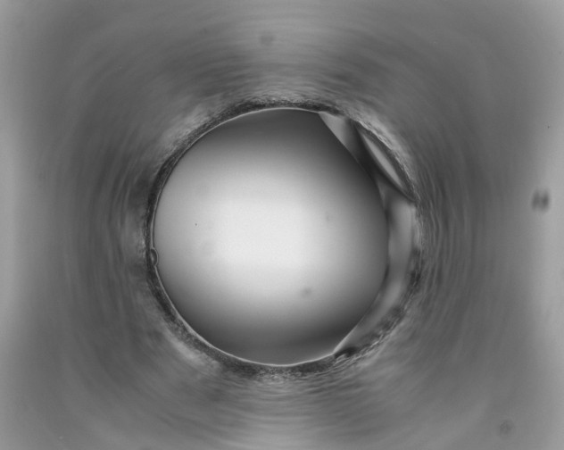 X0000091450489200709061738