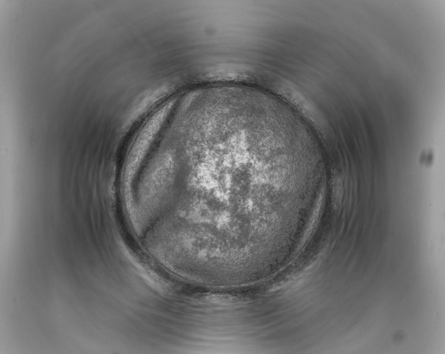 X0000091450490200709061738