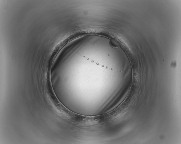 X0000091450491200709061738