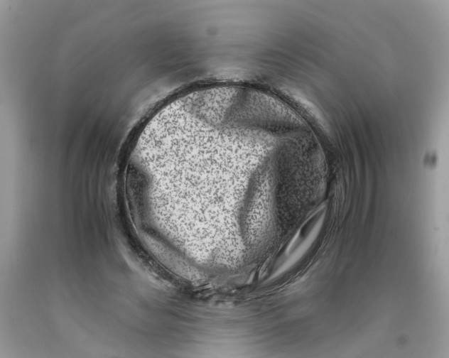 X0000091450492200709061738