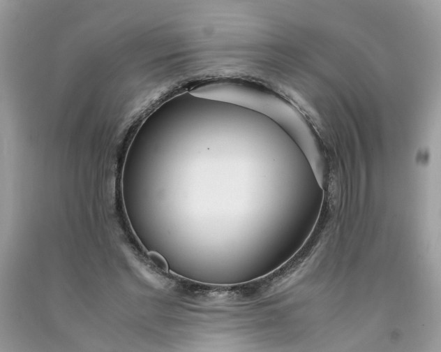 X0000091450493200709061738