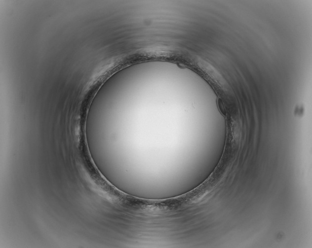 X0000091450494200709061738