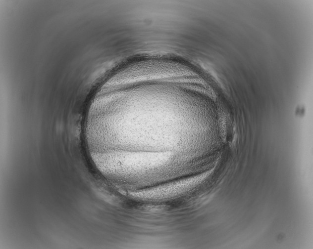 X0000091450495200709061738