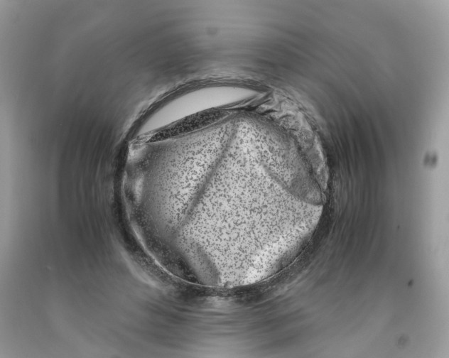 X0000091450496200709061738