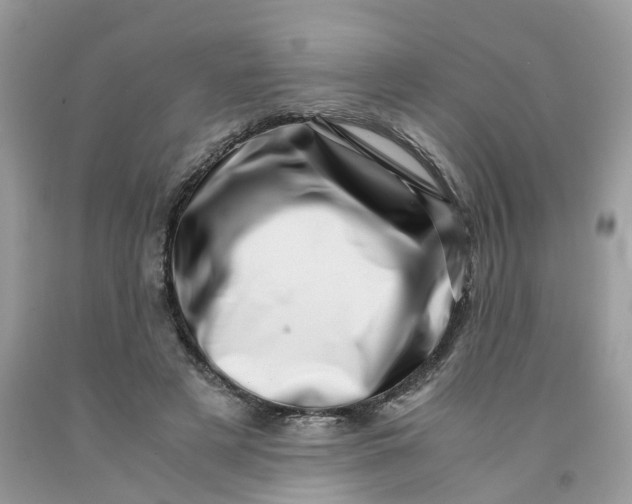 X0000091450497200709061738