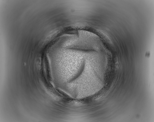 X0000091450498200709061738