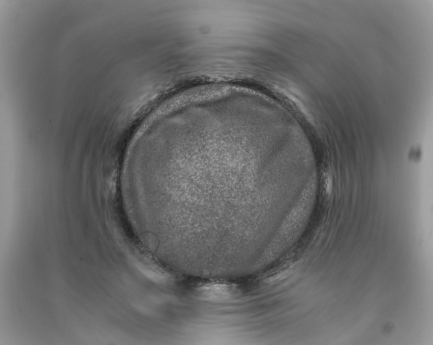 X0000091450499200709061738