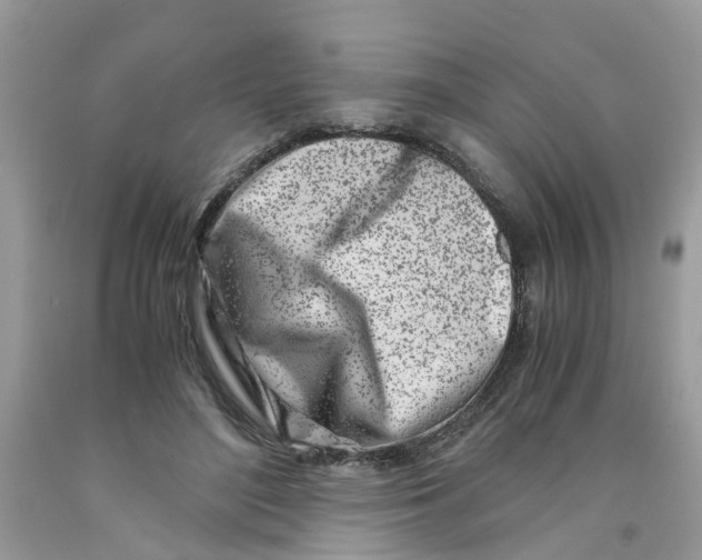 X0000091450500200709061738