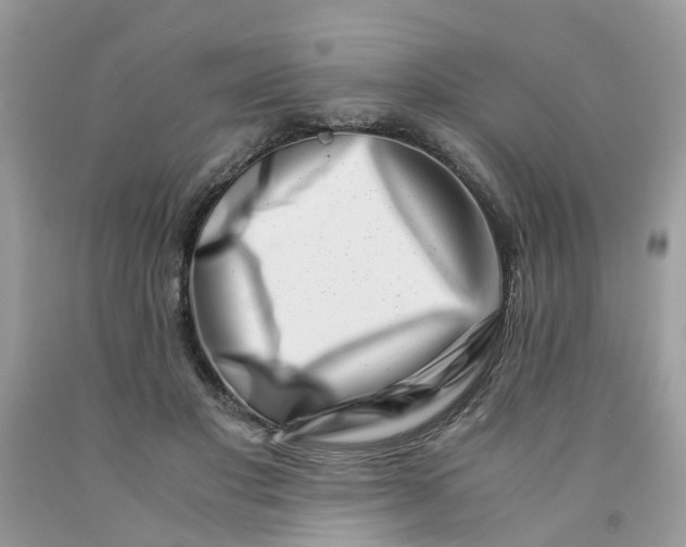 X0000091450501200709061738