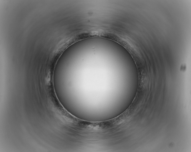 X0000091450502200709061738