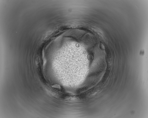 X0000091450503200709061738