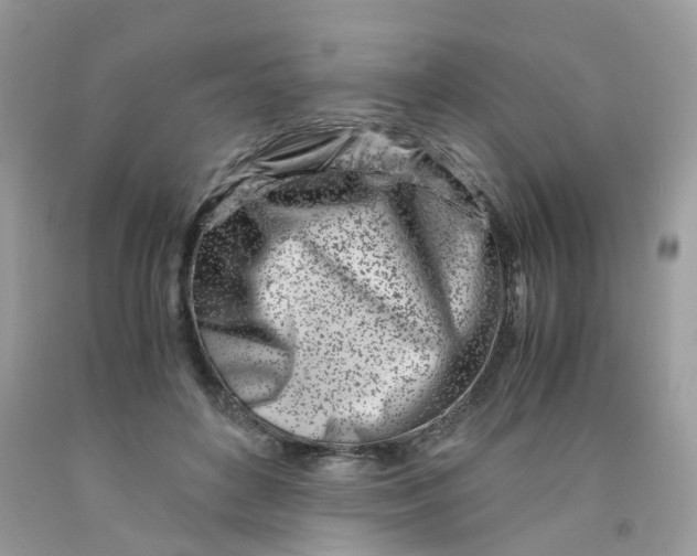 X0000091450504200709061738