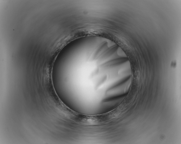 X0000091450506200709061738