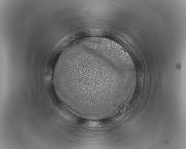 X0000091450507200709061738