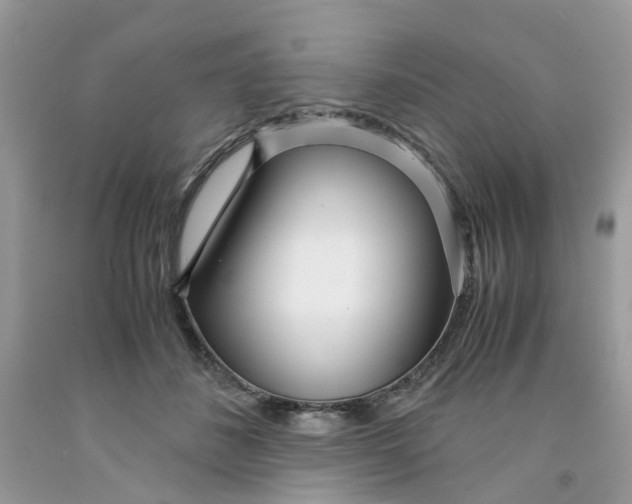 X0000091450508200709061738