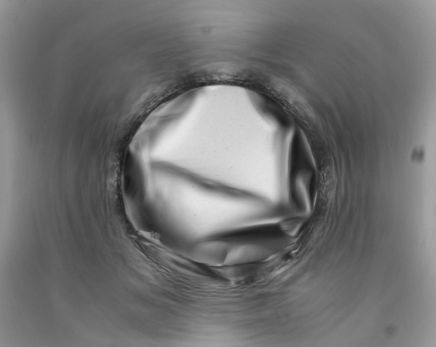 X0000091450509200709061738