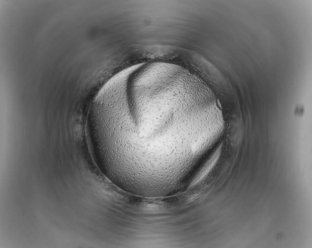 X0000091450510200709061738