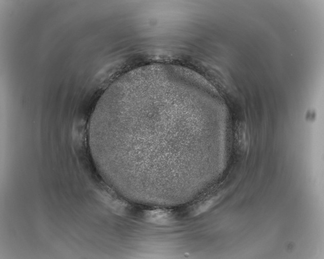 X0000091450511200709061738