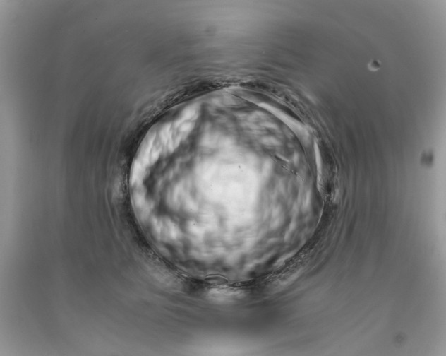 X0000091450515200709061738