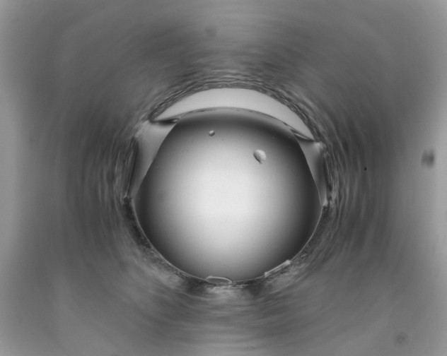 X0000091450516200709061738