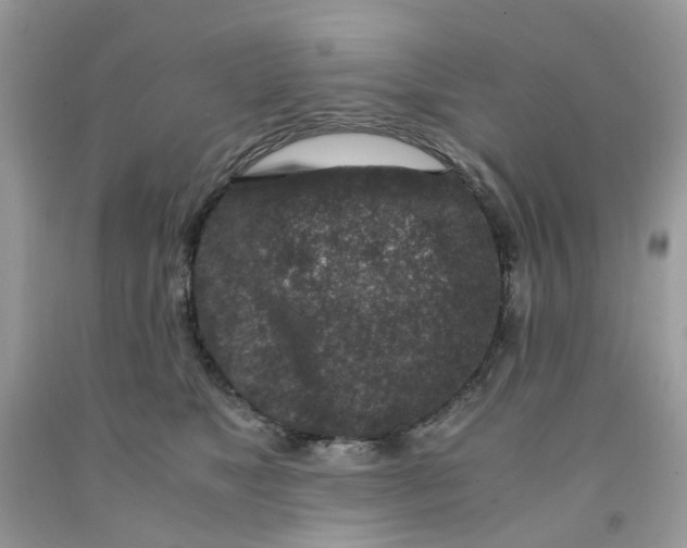 X0000091450517200709061738