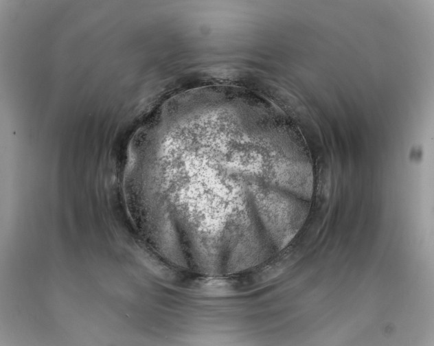 X0000091450518200709061738