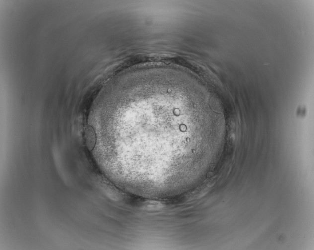 X0000091450519200709061737