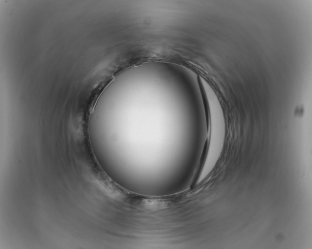 X0000091450520200709061737