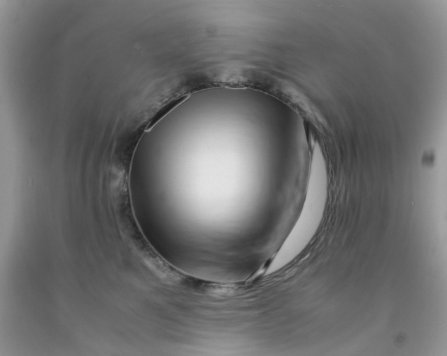 X0000091450521200709061737