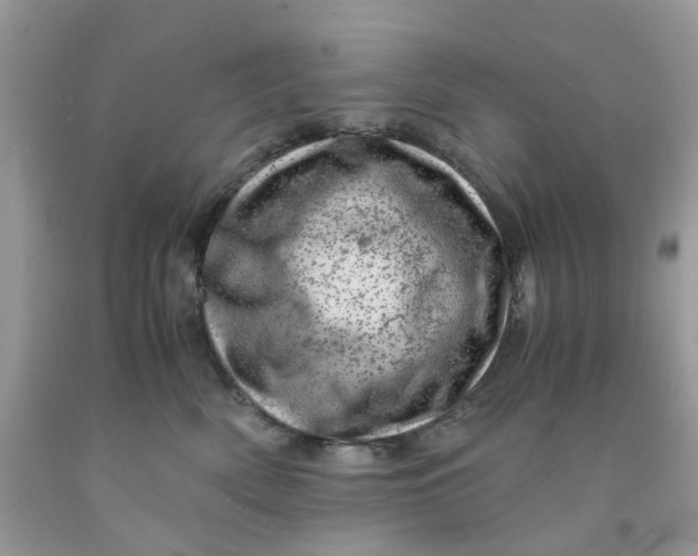 X0000091450522200709061737