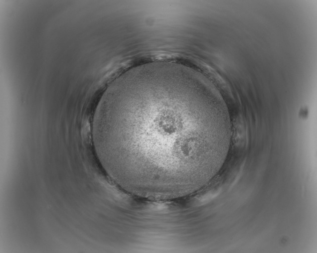 X0000091450523200709061737