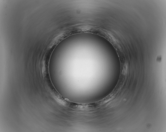 X0000091450524200709061737