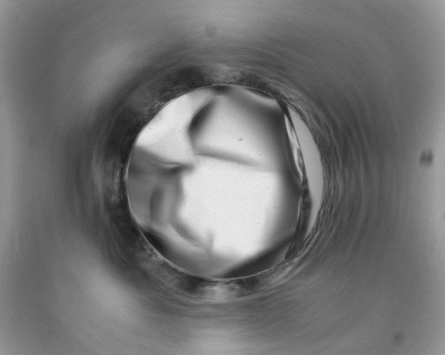 X0000091450525200709061737