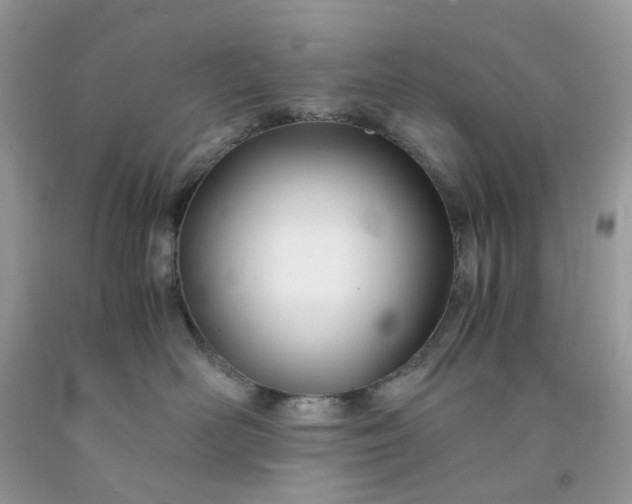 X0000091450526200709061737