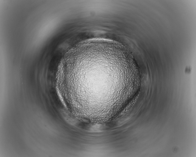 X0000091450527200709061737