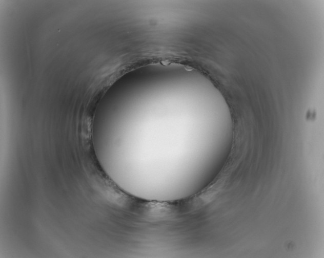 X0000091450528200709061737